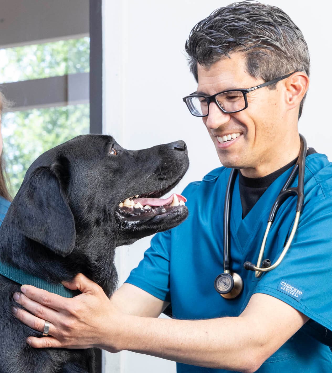 Male Vet With Black Lab