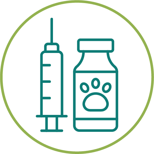 dark green drawing of vaccination medication inside of a light green circle